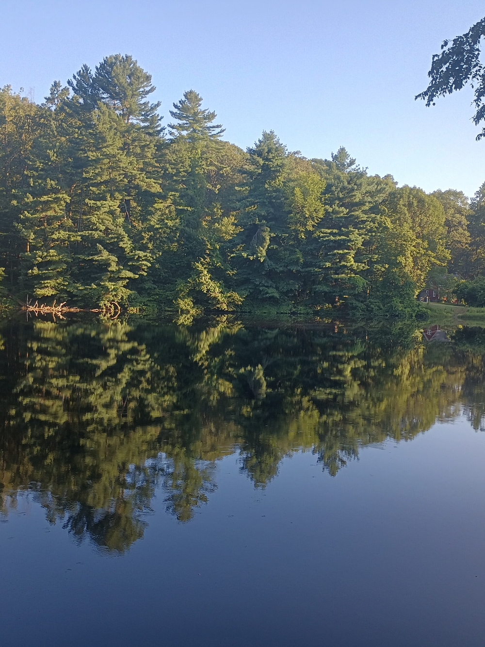 Scenic Forest Lake Photo Print - Green Trees & Blue Water
